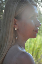 Load image into Gallery viewer, Silver earrings with  South Sea golden pearls.
