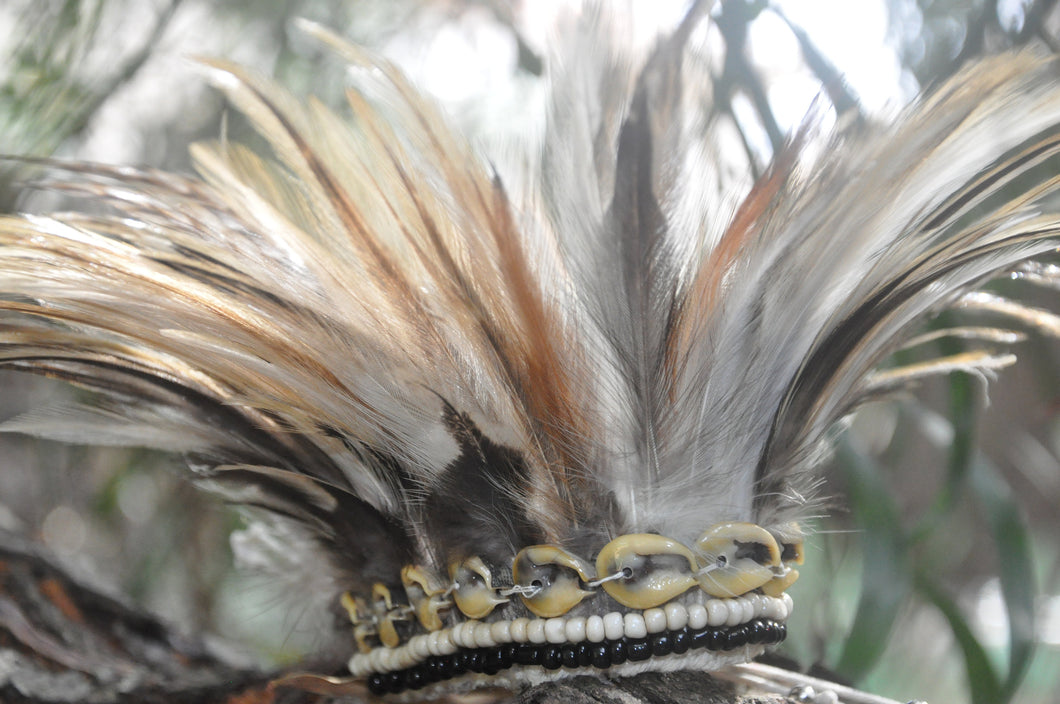 Black and white feathers.