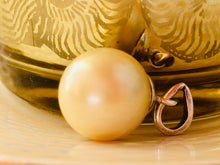 Load image into Gallery viewer, Beautiful south sea pearl pendant in champagne colour.
